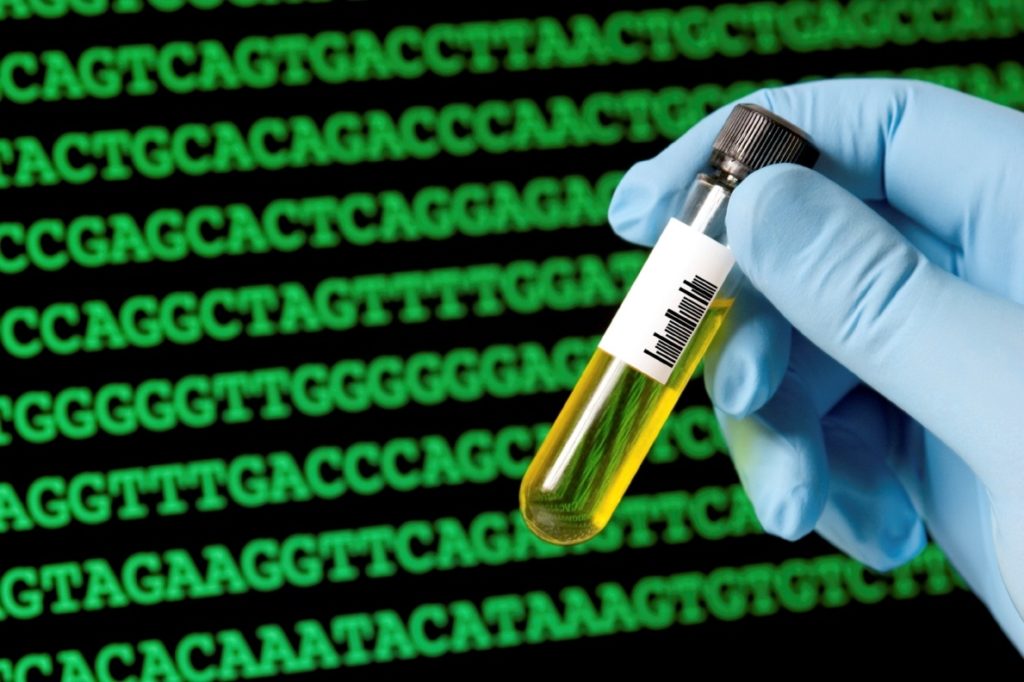 Biología sintética, edición genómica e impulsores genéticos